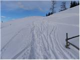 Volovljek - Kranjska reber